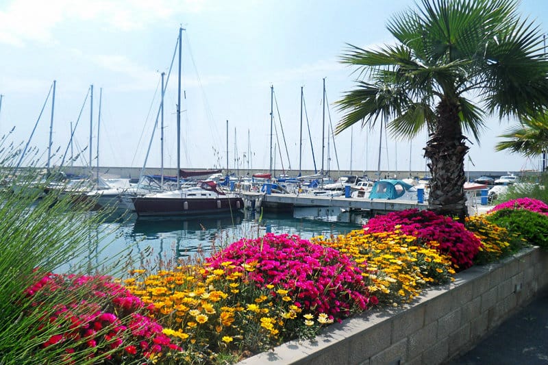 Fleurs colorÃ©es Ã  cÃ´tÃ© d'un port de San Lorenzo al Mare